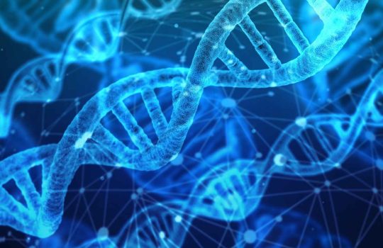 dna data interpretation2